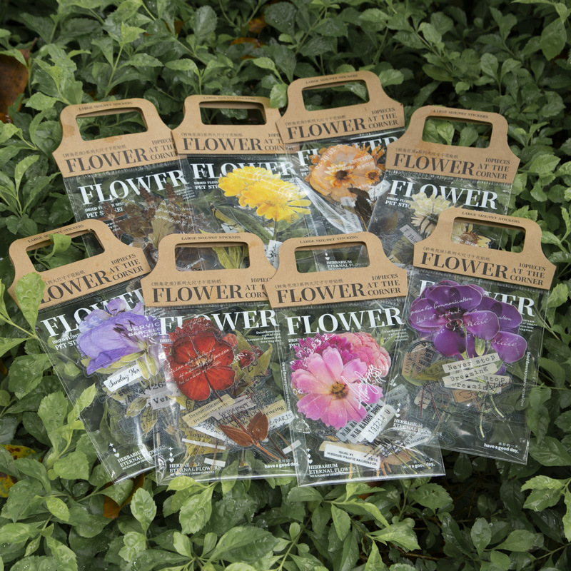 Lot de 10 autocollants de la s - Dried Flower Bulk avis et prix
