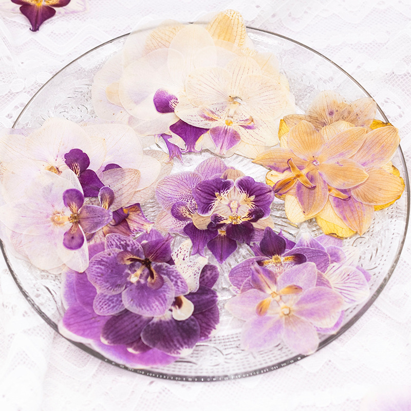 4 têtes de fleurs d'orchidées  - Dried Flower Bulk avis et prix