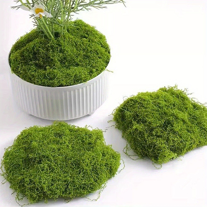 Fausse mousse verte artisanale - Terrarium Moss Art avis et prix